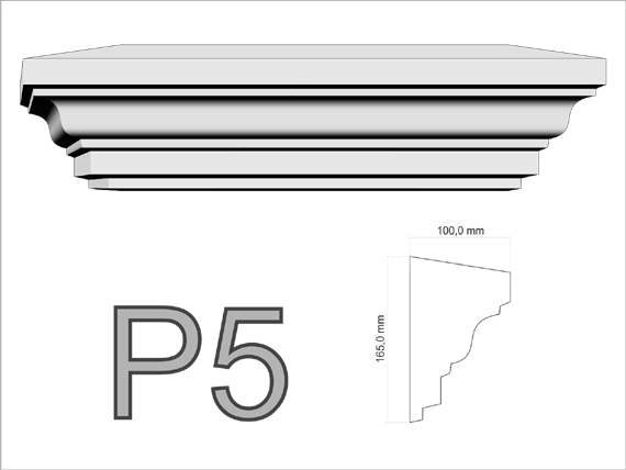 P5.png
