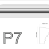 P7.png
