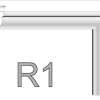 R1.png