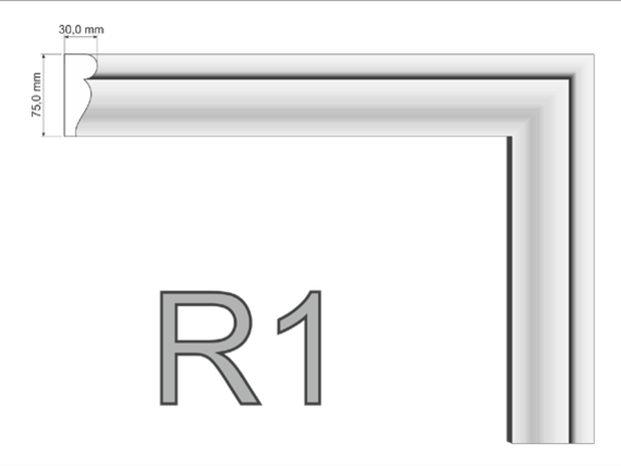 R1.png