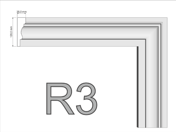 R31.png